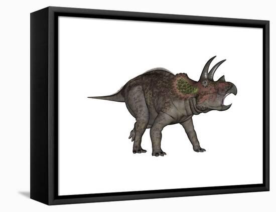 Triceratops Dinosaur-Stocktrek Images-Framed Stretched Canvas