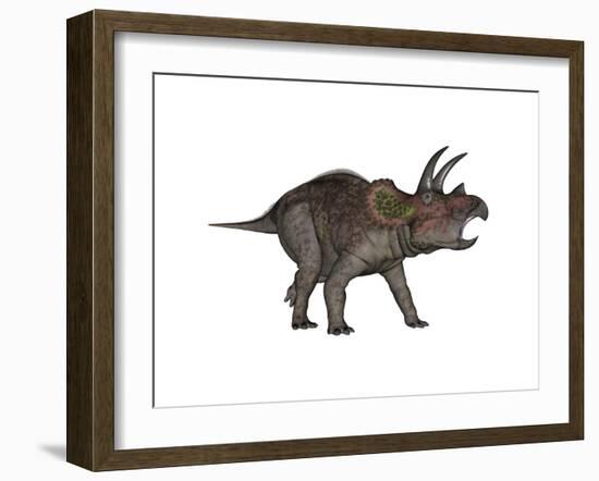 Triceratops Dinosaur-Stocktrek Images-Framed Art Print