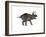 Triceratops Dinosaur-Stocktrek Images-Framed Art Print