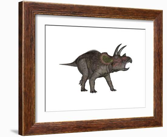 Triceratops Dinosaur-Stocktrek Images-Framed Art Print