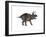 Triceratops Dinosaur-Stocktrek Images-Framed Art Print