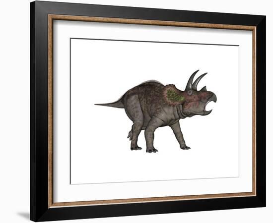 Triceratops Dinosaur-Stocktrek Images-Framed Art Print