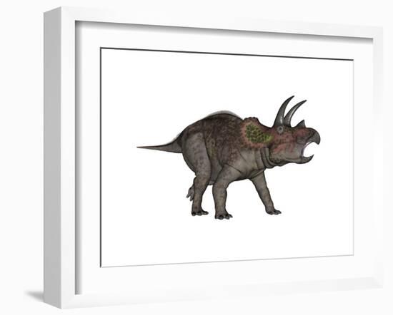 Triceratops Dinosaur-Stocktrek Images-Framed Art Print