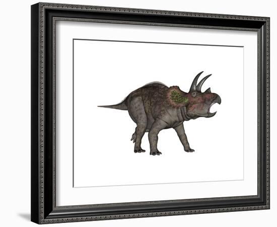 Triceratops Dinosaur-Stocktrek Images-Framed Art Print