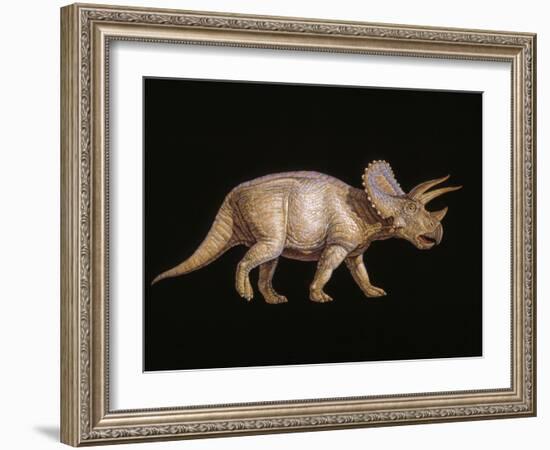 Triceratops Dinosaur-Joe Tucciarone-Framed Photographic Print