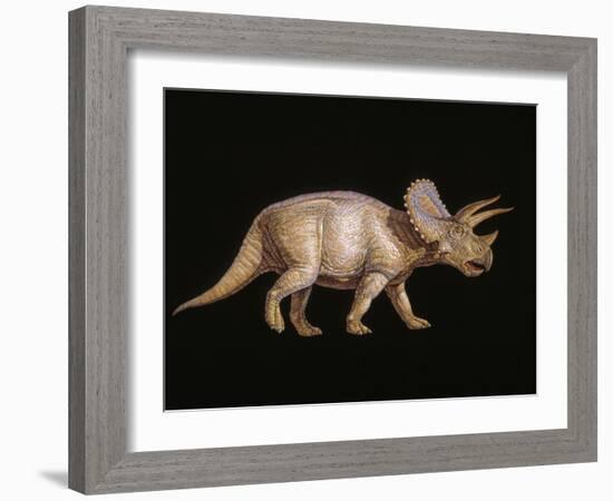 Triceratops Dinosaur-Joe Tucciarone-Framed Photographic Print