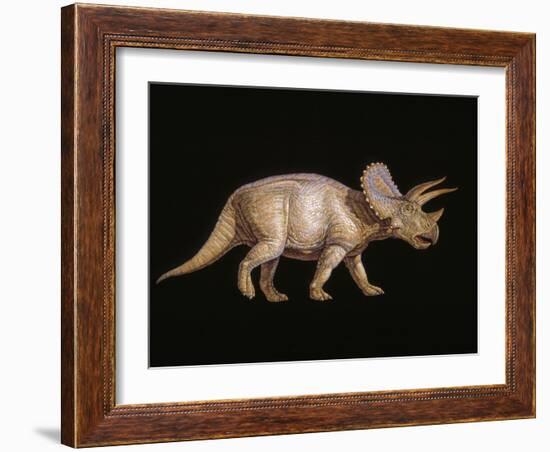 Triceratops Dinosaur-Joe Tucciarone-Framed Photographic Print