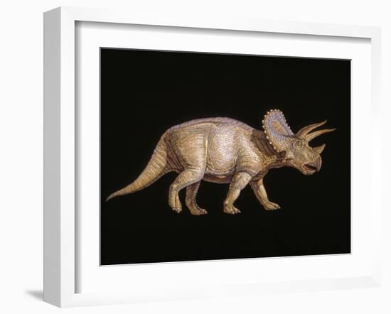 Triceratops Dinosaur-Joe Tucciarone-Framed Photographic Print