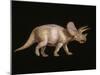 Triceratops Dinosaur-Joe Tucciarone-Mounted Photographic Print