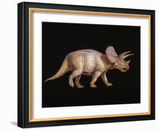 Triceratops Dinosaur-Joe Tucciarone-Framed Photographic Print