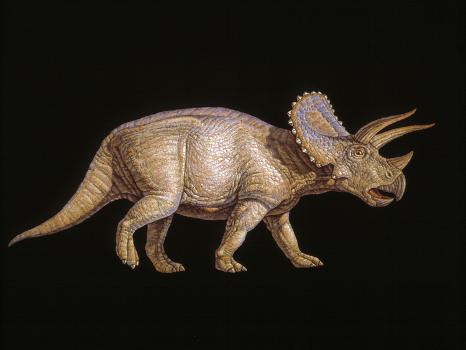 Tricerotops Dinosaur Diamond Painting, Large Horned DIY Dinosaur
