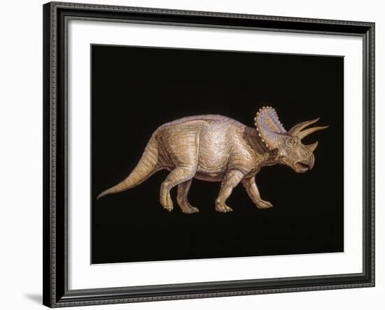 Triceratops Dinosaur-Joe Tucciarone-Framed Photographic Print