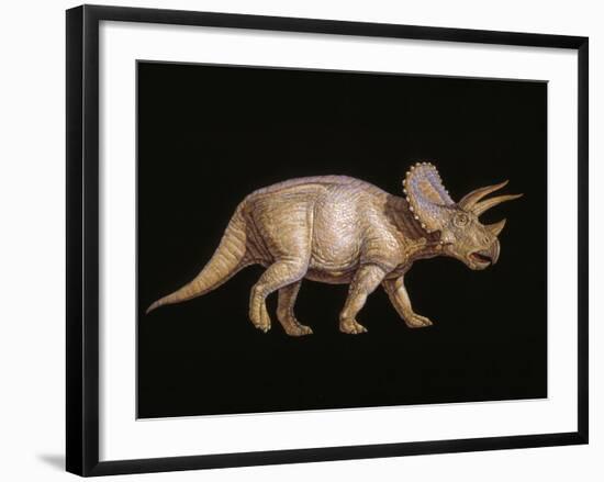 Triceratops Dinosaur-Joe Tucciarone-Framed Photographic Print