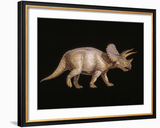 Triceratops Dinosaur-Joe Tucciarone-Framed Photographic Print