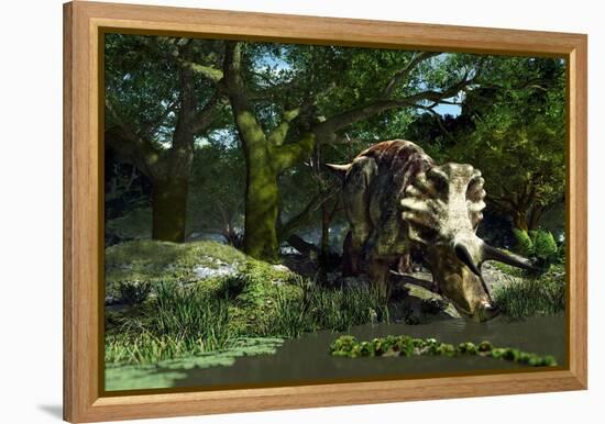 Triceratops Drinking At a Pond, Artwork-Roger Harris-Framed Premier Image Canvas