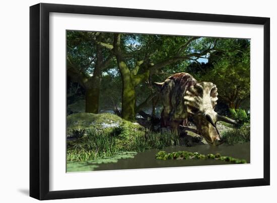 Triceratops Drinking At a Pond, Artwork-Roger Harris-Framed Photographic Print