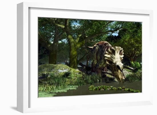 Triceratops Drinking At a Pond, Artwork-Roger Harris-Framed Photographic Print
