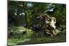 Triceratops Drinking At a Pond, Artwork-Roger Harris-Mounted Photographic Print