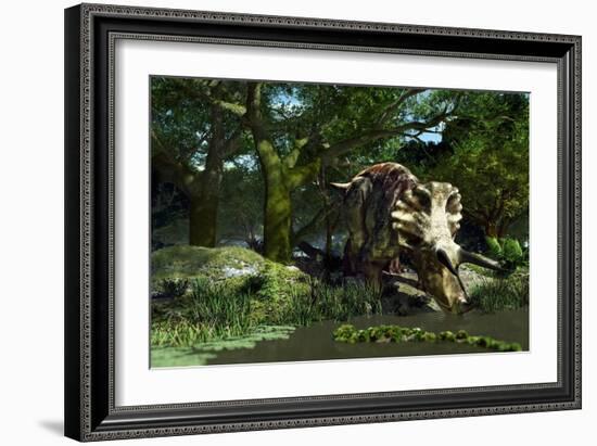 Triceratops Drinking At a Pond, Artwork-Roger Harris-Framed Photographic Print