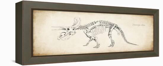 Triceratops Elatus-null-Framed Premier Image Canvas