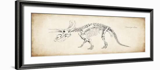 Triceratops Elatus-null-Framed Giclee Print
