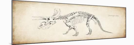 Triceratops Elatus-null-Mounted Giclee Print