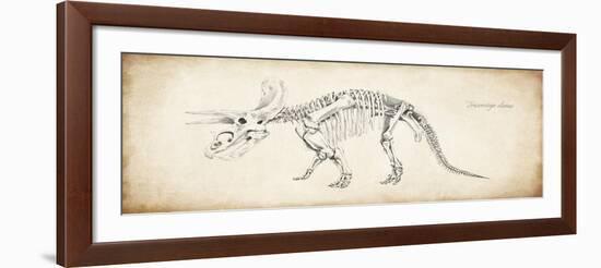 Triceratops Elatus-null-Framed Giclee Print