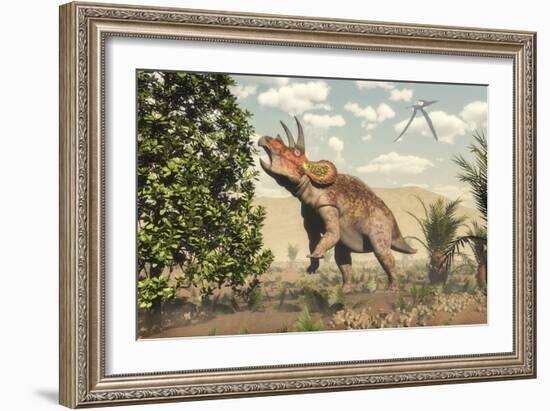 Triceratops Grazing on a Magnolia Tree-Stocktrek Images-Framed Art Print