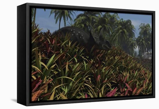 Triceratops Grazing on Lush Foliage-null-Framed Stretched Canvas