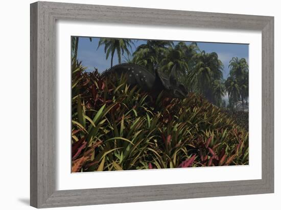 Triceratops Grazing on Lush Foliage-null-Framed Art Print