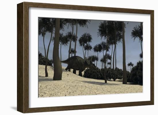 Triceratops in a Prehistoric Environment-null-Framed Art Print