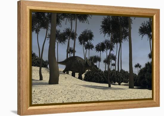 Triceratops in a Prehistoric Environment-null-Framed Stretched Canvas