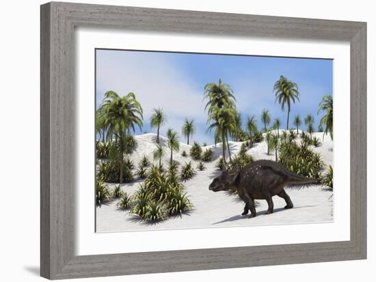 Triceratops in a Tropical Setting-null-Framed Art Print