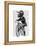 Triceratops Man on Bike Dinosaur-Fab Funky-Framed Stretched Canvas