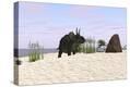 Stretched Canvas Print