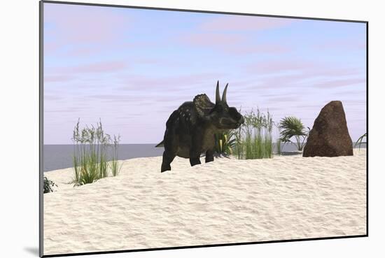 Triceratops on a Beach-null-Mounted Art Print