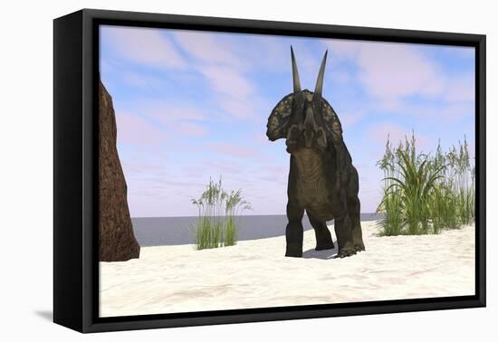 Triceratops on a Beach-null-Framed Stretched Canvas