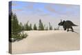Stretched Canvas Print