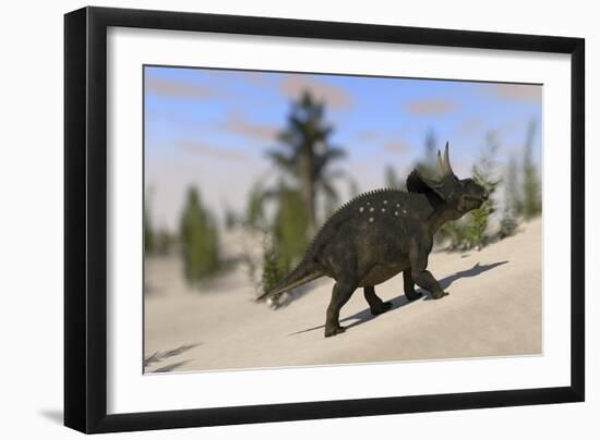 Triceratops Roaming a Prehistoric Landscape-null-Framed Art Print