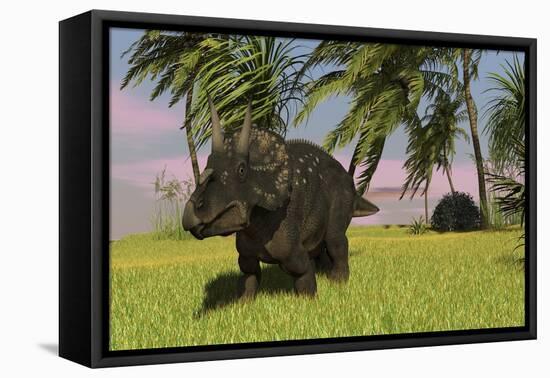 Triceratops Roaming a Tropical Environment-null-Framed Stretched Canvas