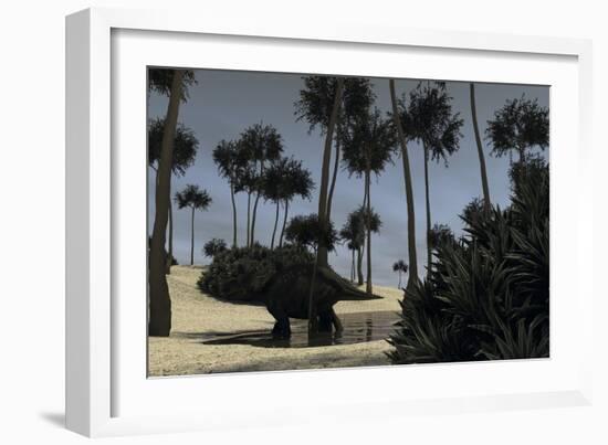 Triceratops Roaming in a Riverbed of a Prehistoric Environment-null-Framed Art Print