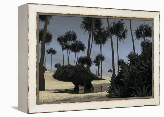 Triceratops Roaming in a Riverbed of a Prehistoric Environment-null-Framed Stretched Canvas