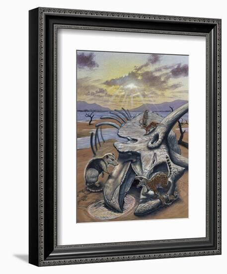 Triceratops Skull with Early Mammals-null-Framed Premium Giclee Print