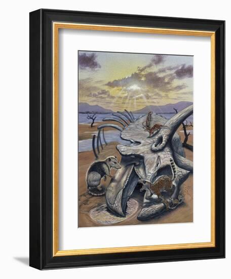 Triceratops Skull with Early Mammals-null-Framed Premium Giclee Print