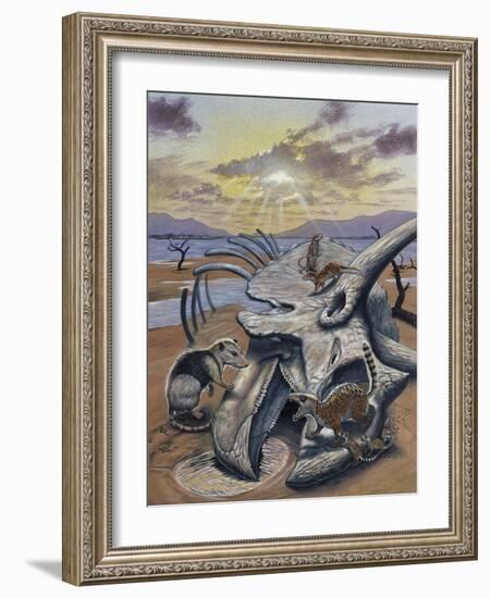 Triceratops Skull with Early Mammals-null-Framed Art Print