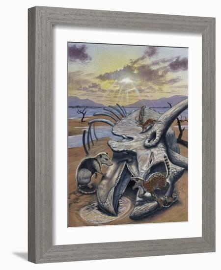 Triceratops Skull with Early Mammals-null-Framed Art Print