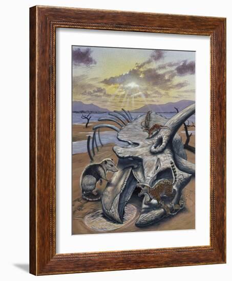 Triceratops Skull with Early Mammals-null-Framed Art Print