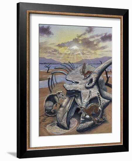 Triceratops Skull with Early Mammals-null-Framed Art Print