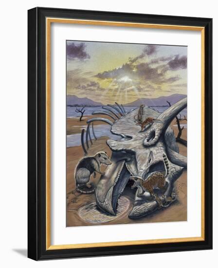 Triceratops Skull with Early Mammals-null-Framed Art Print