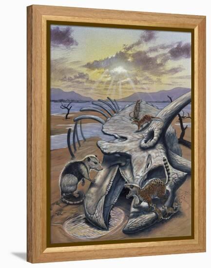 Triceratops Skull with Early Mammals-null-Framed Stretched Canvas